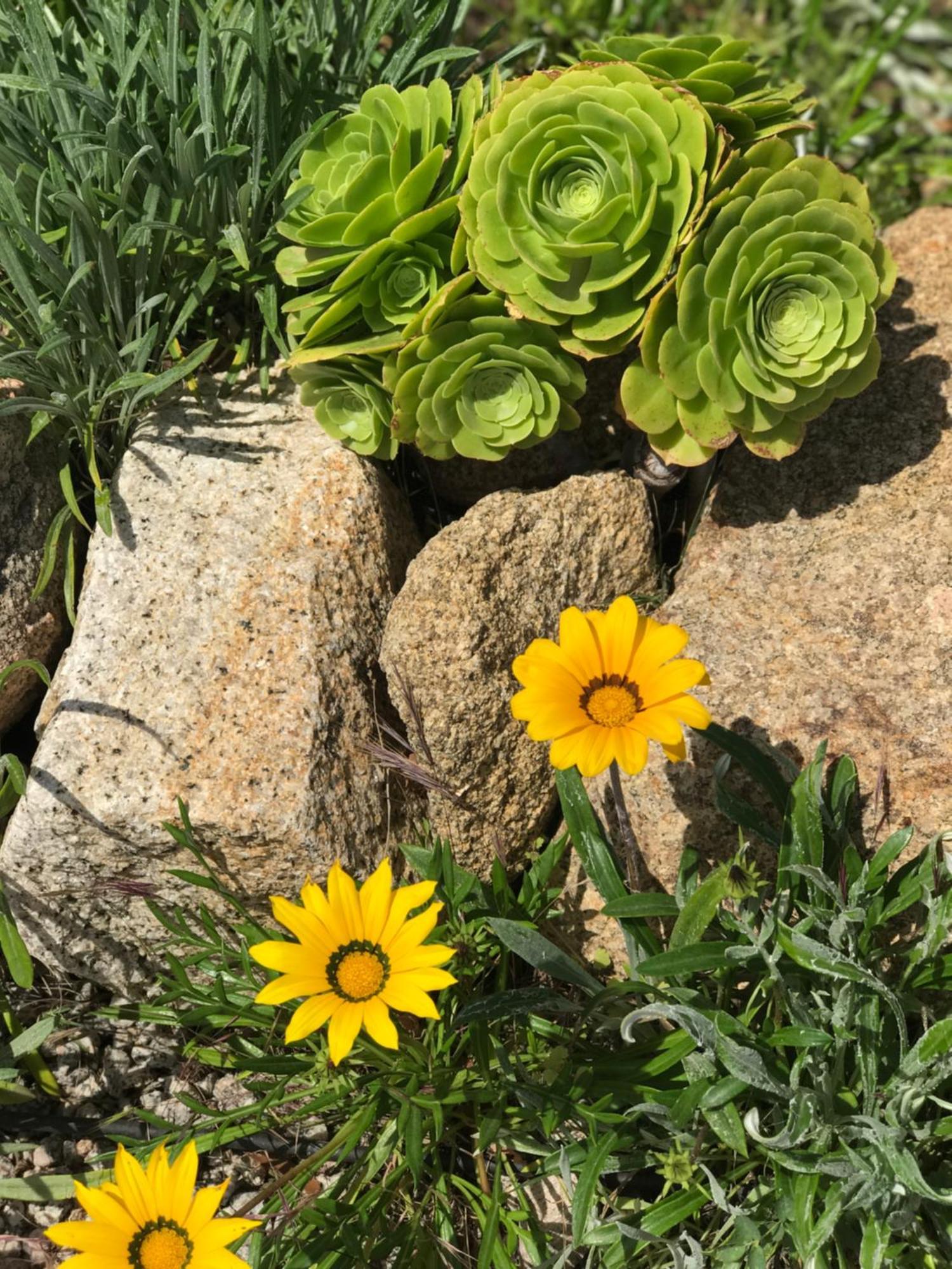 Fiore Di Machja Coti-Chiavari  Exterior foto